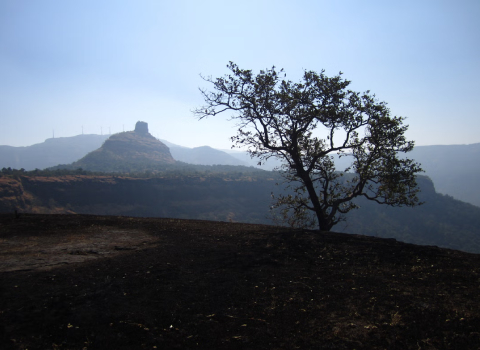 best cottages in karjat